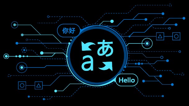 Software Language Translation Services